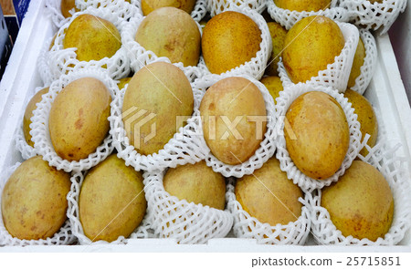 Sapota fruits at market 25715851