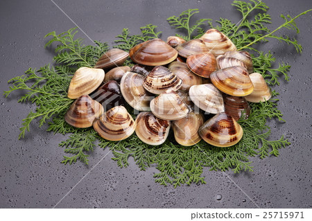 Capturing a lot of sense of squirrel Capricorn Mie Prefecture Capturing a lot of sense of squirrel Capricorn Mie Prefecture 25715971