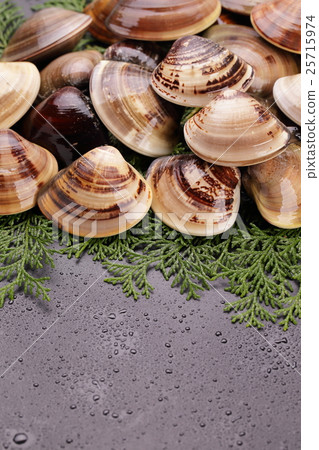 Capturing a lot of sense of squirrel Capricorn Mie Prefecture Capturing a lot of sense of squirrel Capricorn Mie Prefecture 25715974