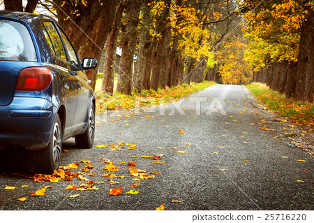 Car on asphalt road in autumn 25716220