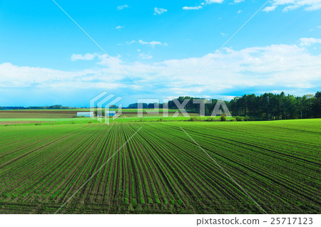 Memanbetsu農村風景 25717123