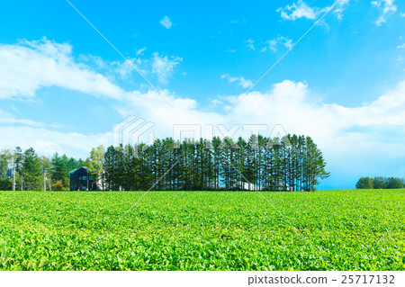 Rural landscape of Memanbetsu 25717132