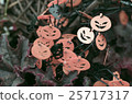 Halloween  25717317