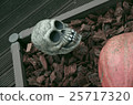 Halloween  25717320