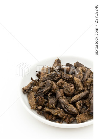 Okera (insect meal): Mole cricket Okera (insect meal): Mole cricket 25718246