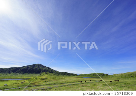 Aso Panorama Line which was opened after the Kumamoto earthquake Horses who grew big in the majestic wilderness by eating the undergrowth of the blue sky of the grass spirit beach 25718309