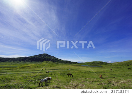 Aso Panorama Line在熊本大地震之後開放第二天在草原大浜吃草,在雄偉的自然生長的馬 Aso Panorama Line在熊本大地震之後開放第二天在草原大浜吃草,在雄偉的自然生長的馬 25718374