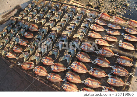 乾魚 乾魚 25719060