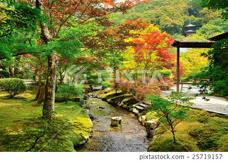 Eternal Eternal Landscape Garden 25719157