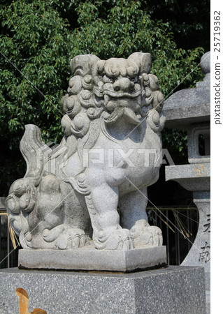 Ogami神社的監護人狗在福岡東區 25719362