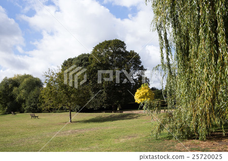 UK park UK park 25720025
