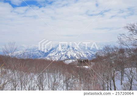 Echigo's winter scene Echigo's winter scene 25720064
