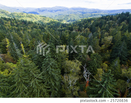 北海道的森林（中山山口附近）航拍照片 25720836
