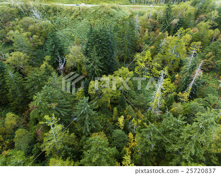 北海道的森林（中山山口附近）航拍照片 25720837