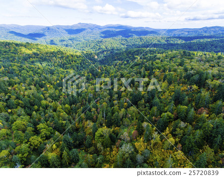 Forest in Hokkaido (near Nakayama Pass) Aerial photograph 25720839
