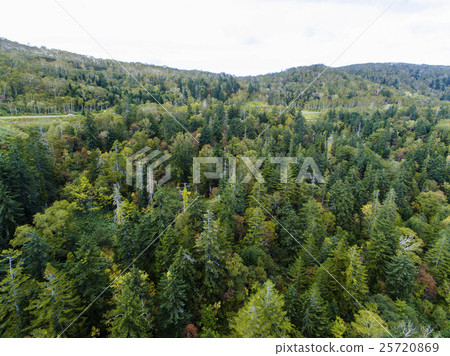 北海道的森林（中山山口附近）航拍照片 25720869