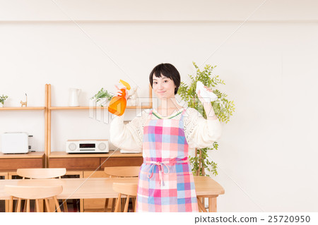 Housewife (cleaning) Housewife (cleaning) 25720950