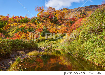 The autumnal leaves of the Daisetsu Takahara Onsen marsh course 25722868