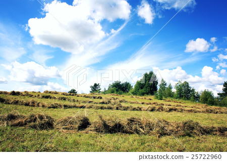 Journey to the north of Russia. Haymaking. 25722960