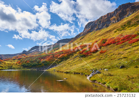 Koyuki Takahara Hot Springs Swamps seen from the swamp swamp swamp colony swamp 25723132