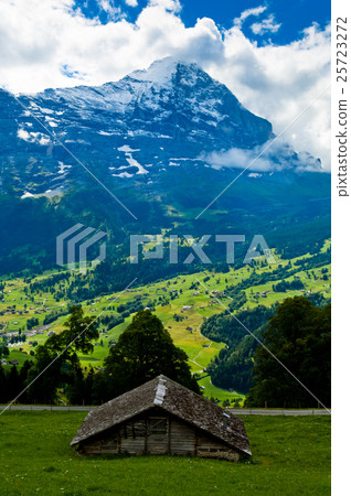 Summer in the Swiss mountains - Bernese Alps 25723272