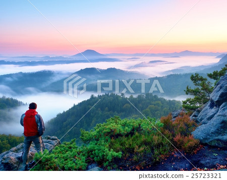 Tourist with red outdoor windcheater in dwarf pine Tourist with red outdoor windcheater in dwarf pine 25723321