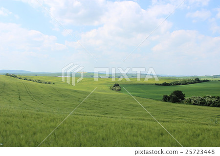 Moravian prairie in the Czech Republic 25723448