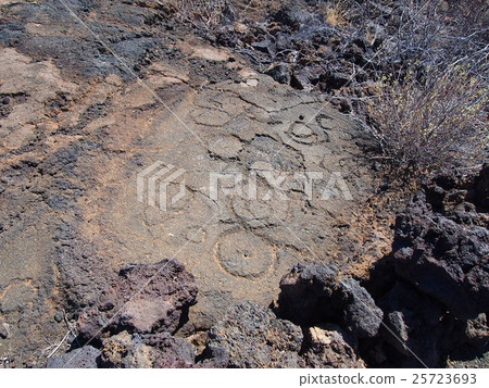 Petroglyphs on Island of Hawaii 25723693