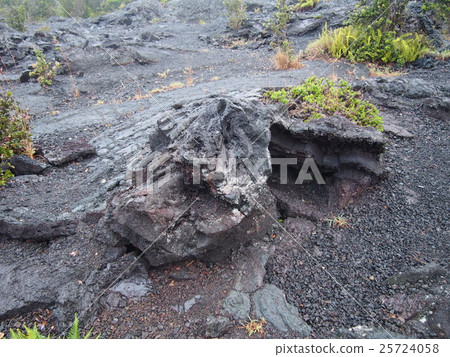 Lava tree type Lava tree type 25724058