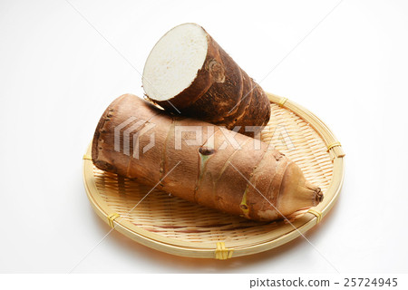 竹筍（京都）宮崎縣 25724945