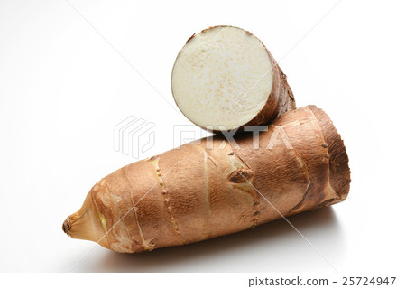 竹筍（京都）宮崎縣 25724947