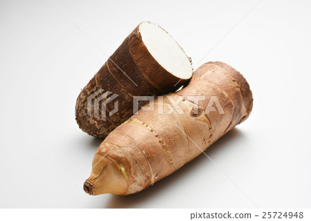 竹筍(京都)宮崎縣 竹筍(京都)宮崎縣 25724948