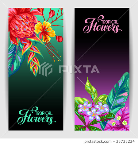 Banners with Thailand flowers. Tropical multicolor 25725224