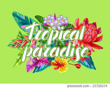 Print with Thailand flowers. Tropical multicolor 25726274