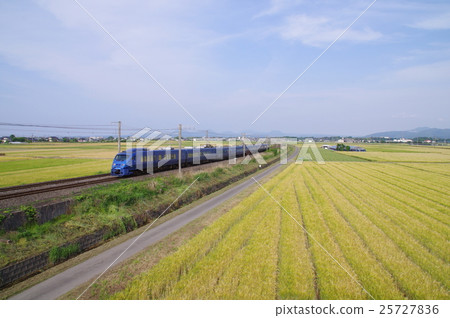 Sonic 883 running through Usa's wheat field 25727836