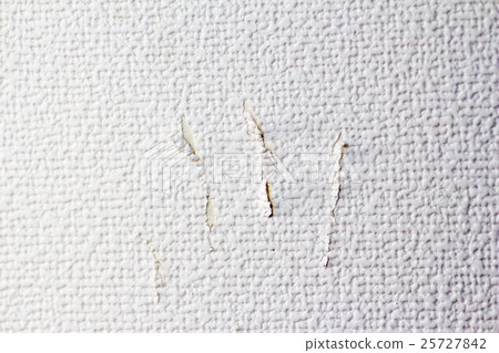 Cat's nails remaining on the wallpaper Cat's nails remaining on the wallpaper 25727842