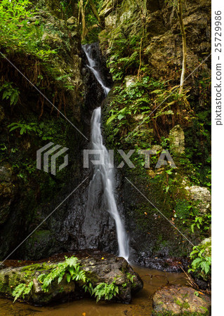 愛知縣Takuzo不動瀑布 愛知縣Takuzo不動瀑布 25729986