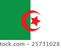 original and simple Algeria flag isolated vector  25731028