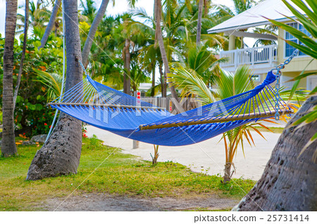 Tropical resort with chaise longs and hammocks Tropical resort with chaise longs and hammocks 25731414