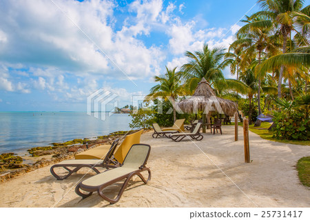 Tropical resort with chaise longs and hammocks Tropical resort with chaise longs and hammocks 25731417