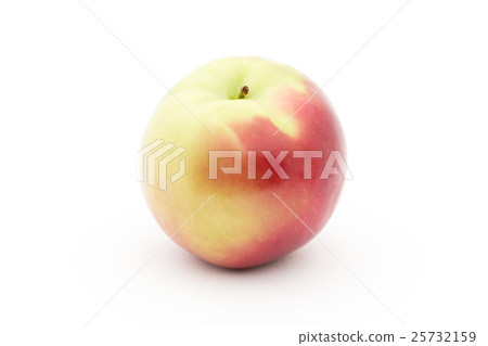 Apple(分類:Macintosh):Apple(cv.McIntosh) Apple(分類:Macintosh):Apple(cv.McIntosh) 25732159
