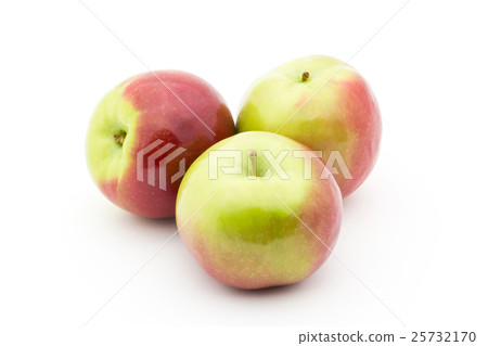 Apple(分類:Macintosh):Apple(cv.McIntosh) Apple(分類:Macintosh):Apple(cv.McIntosh) 25732170