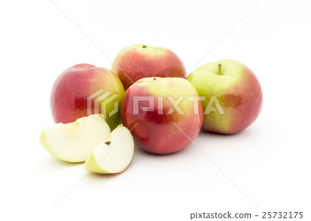 Apple(分類:Macintosh):Apple(cv.McIntosh) Apple(分類:Macintosh):Apple(cv.McIntosh) 25732175