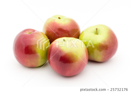 Apple(分類:Macintosh):Apple(cv.McIntosh) Apple(分類:Macintosh):Apple(cv.McIntosh) 25732176