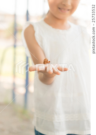 蟬殼 人 人物 25733532