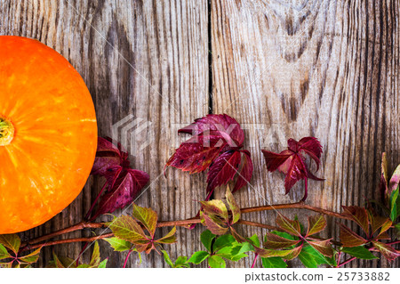 Parthenocissus with Orange Pumpkin on Wooden 25733882