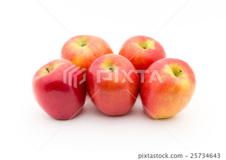 Apple (variety: jazz): Apple (cv. Jazz) 25734643