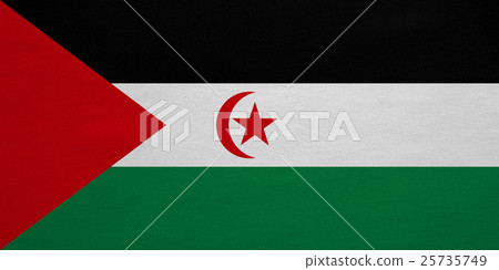 Flag of Western Sahara detailed fabric texture 25735749