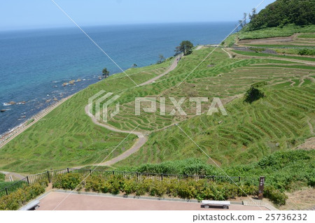 石川縣白米1000張 25736232