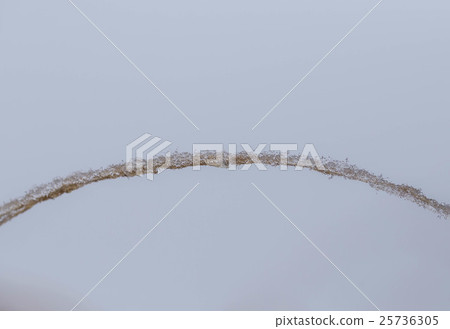 Bridge of tree ice Bridge of tree ice 25736305